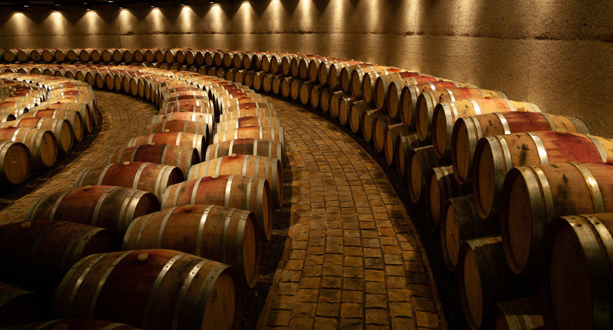 Bodego Zapata, another beautiful barrel room