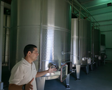 Montgras Winery, Colchagua Valley