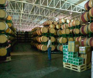 Montgras Winery, one of two huge barrel "rooms"