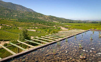 Lapostolle Clos Apalta Winery