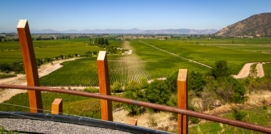 Lapostolle Clos Apalta Winery, Colchagua Valley