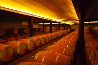 First of two barrel levels at Clos Apalta