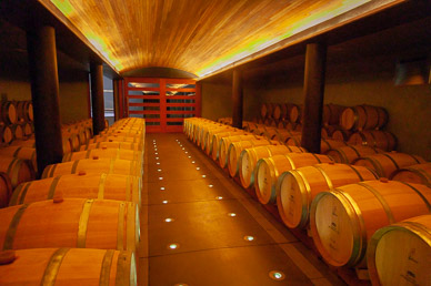 First of two barrel levels at Clos Apalta