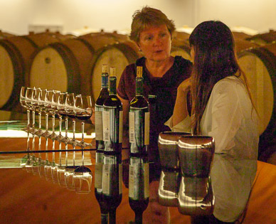 Clos Apalta Winery is owned by French Grand Marneir family – it's their Chilean wine cellar below the table