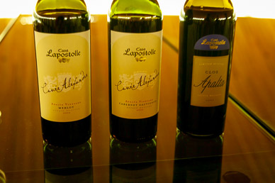 What we tasted at Clos Apalta