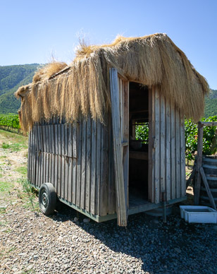 Movable chicken coup at Viñedos Orgánicos Emiliana