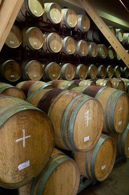 Viñedos Orgánicos Emiliana Winery, Colchagua Valley