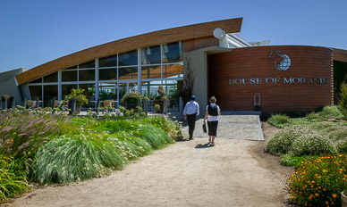 Lunch at Morand Winery, Casablanca Valley