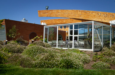 Lunch at Morand Winery, Casablanca Valley