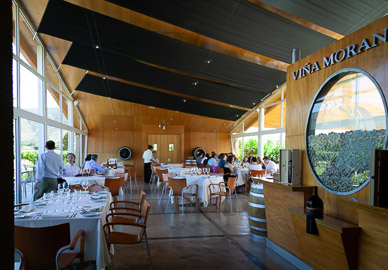 Lunch at Morand Winery, Casablanca Valley