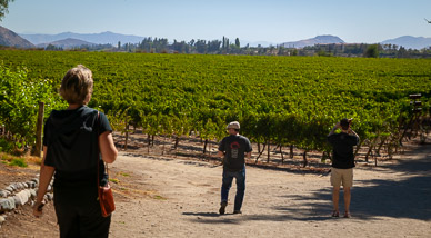 Concha y Toro Winery, Chile's oldest, Maipo Valley