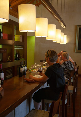 Concha y Toro Winery, Chile's oldest, Maipo Valley