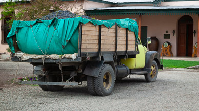 Grapes arriving for low grade wine, Bodega La Rural