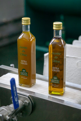 Pasrai Olive Mill, Mendoza