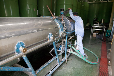 Pasrai Olive Mill, Mendoza