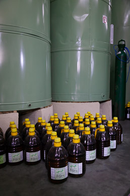 Pasrai Olive Mill, Mendoza