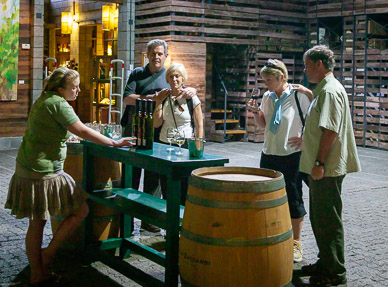 Winery tour in Mendoza Wine Region