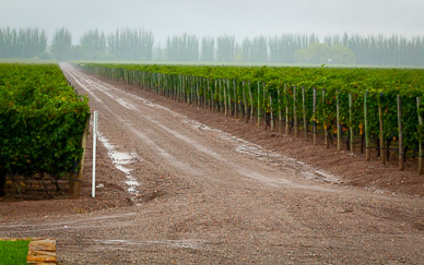 Entrance to Bodega Zapata