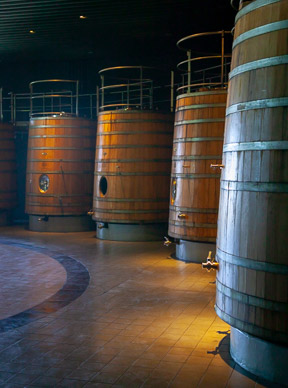 Bodega Salentein, Uco Valley