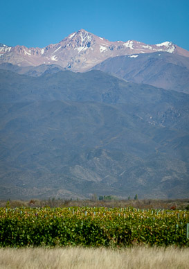 Salentein vineyards & the Andes, , Uco Valley