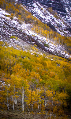 Big Indian Gorge, Steens Mountain