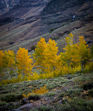 Big Indian Gorge, Steens Mountain