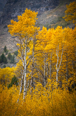 Big Indian Gorge, Steens Mountain