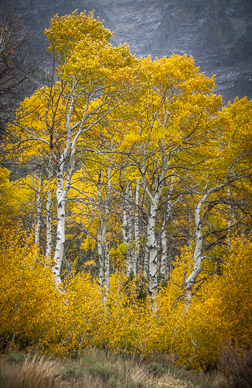 Big Indian Gorge, Steens Mountain