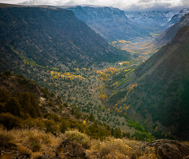 Big Indian Gorge, Steens Mtn.