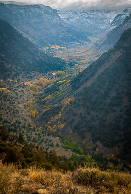 Big Indian Gorge, Steens Mtn.