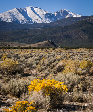 Big Basin National Park, Nevada