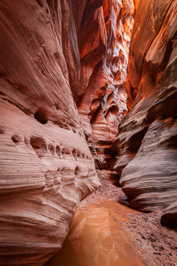 Buckskin Gulch, North Coyote Buttes