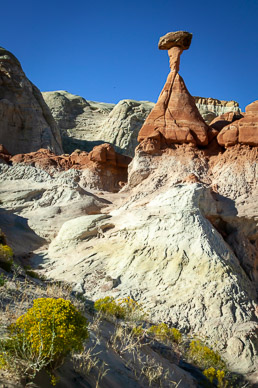 Toadstools, Paria Station
