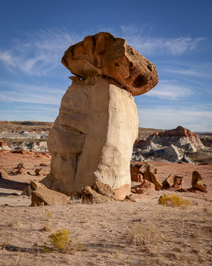 Toadstools, Paria Station