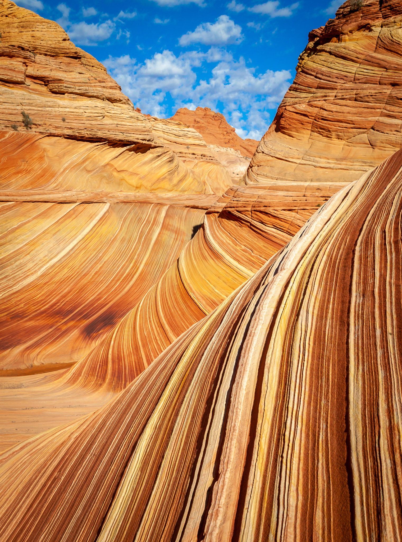 The Wave, North Coyote Buttes