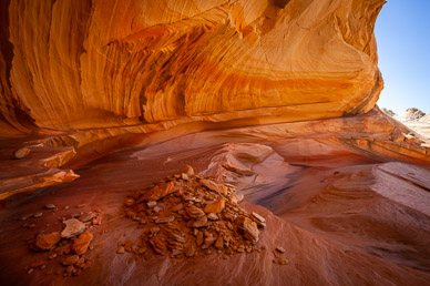 Sand Alcove, North Coyote Buttes