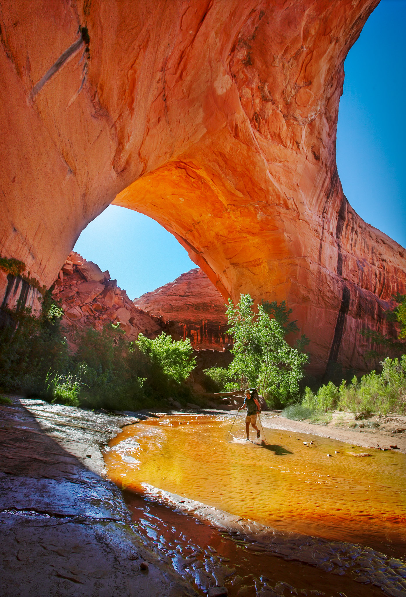 Jacob Hamlin (aka Lobo) Arch