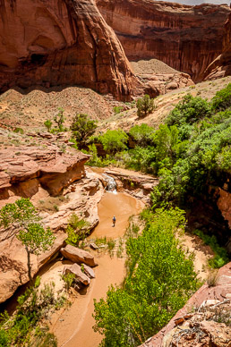 Much of the "trail" is in the creek