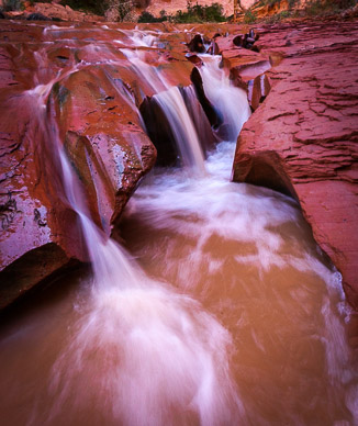 Coyote Gulch, Escalante Nat'l Mon.