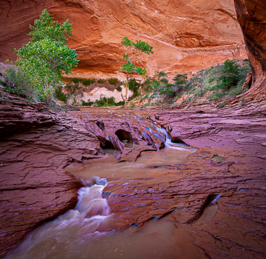 Coyote Gulch, Escalante Nat'l Mon.