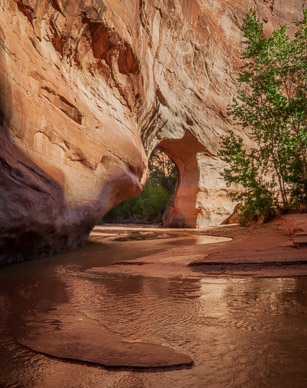 Coyote Gulch Natural Bridge