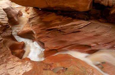 Coyote Gulch, Escalante Nat'l Mon.