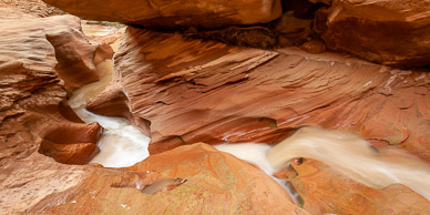 Coyote Gulch, Escalante Nat'l Mon.