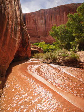 Coyote Gulch, Escalante Nat'l Mon.
