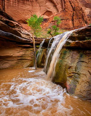 One of many waterfalls