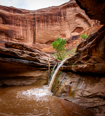 One of many waterfalls