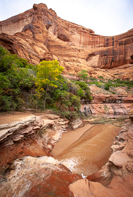 Coyote Gulch, Escalante Nat'l Mon.