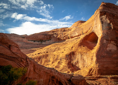 Looking down into Coyote Gulch