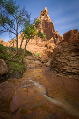 Coyote Gulch, Escalante Nat'l Mon.