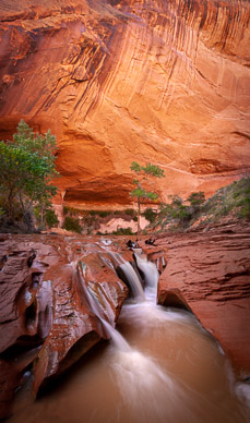 Coyote Gulch, Escalante Nat'l Mon.